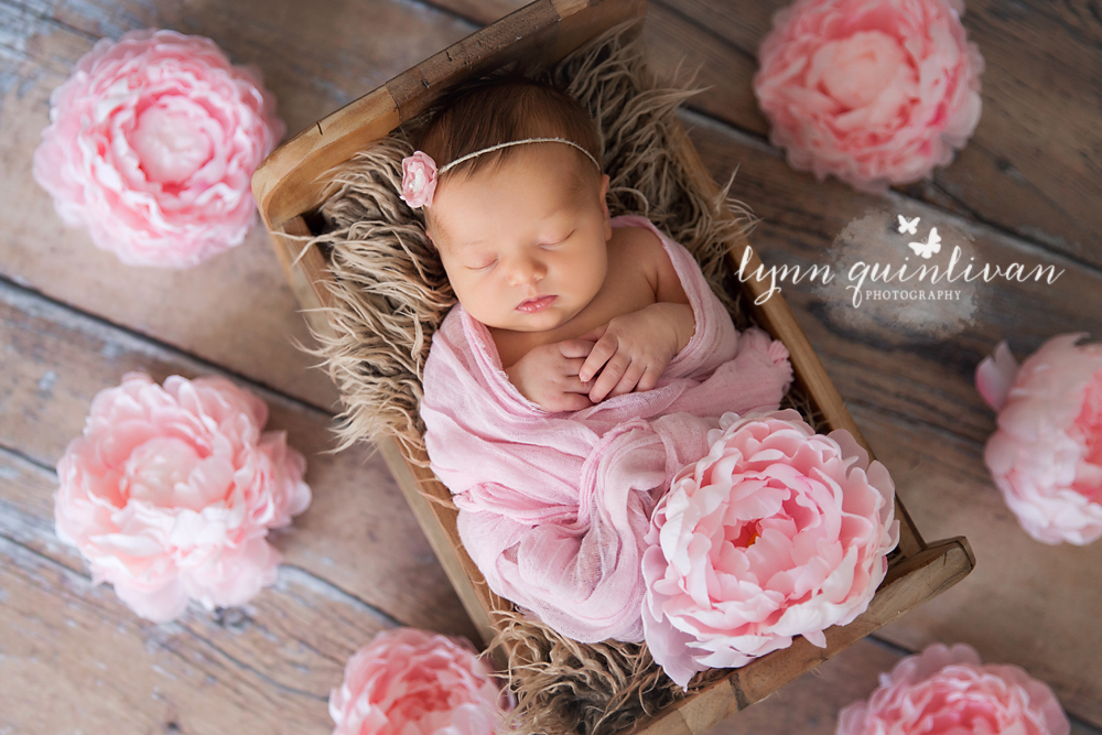 Ashland MA Newborn Photography