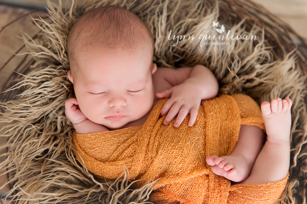 Newborn Photography in Boston