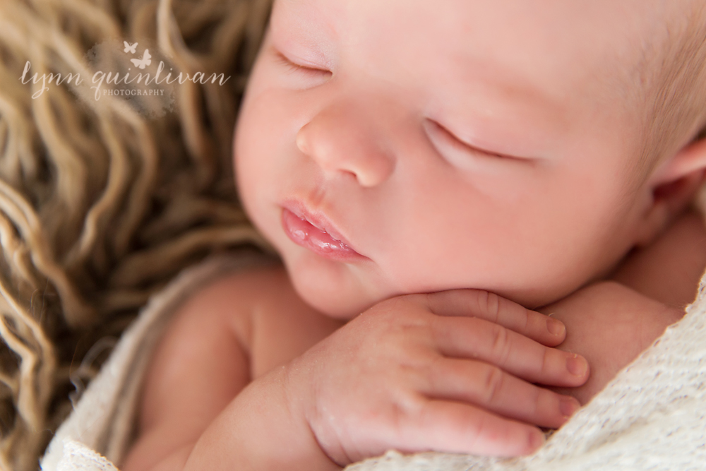 Newborn Photos in Boston