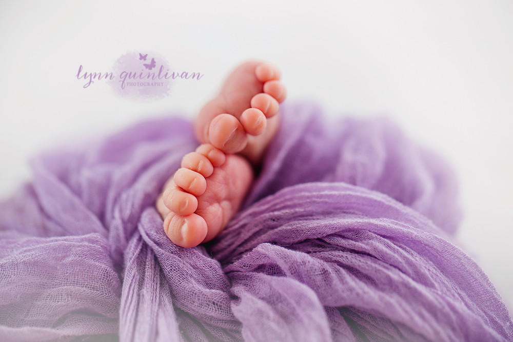 Newborn Photographer in Boston MA