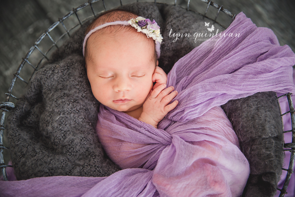 Newborn Photos in Boston MA