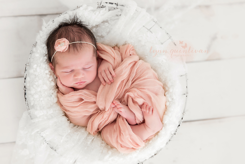 New England Newborn Baby Photos