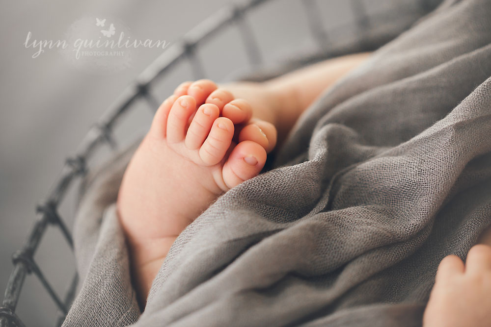 Newborn Photos in New England