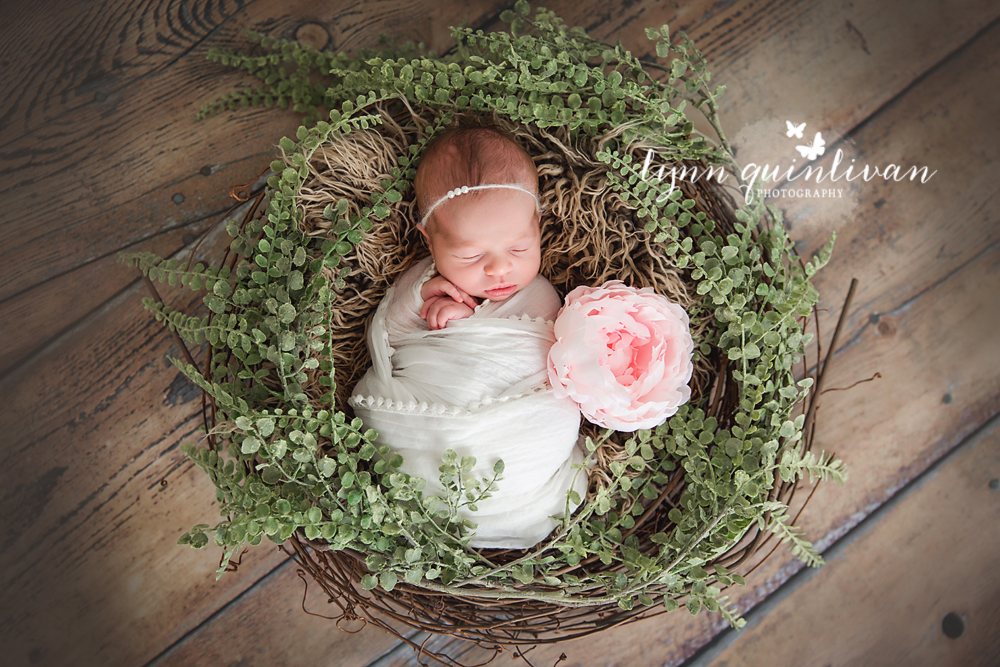 Boston Massachusetts Baby Photographer