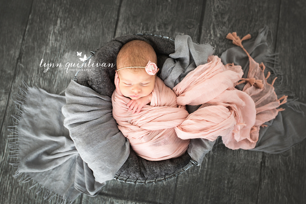 Baby Photography of Massachusetts