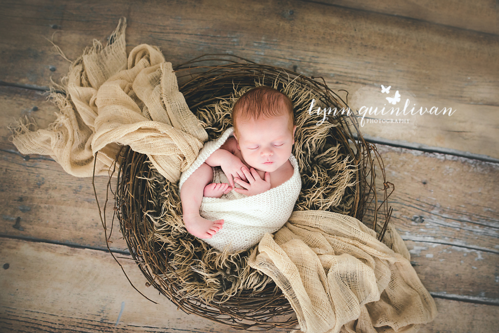 Newborn Baby Photos in New England