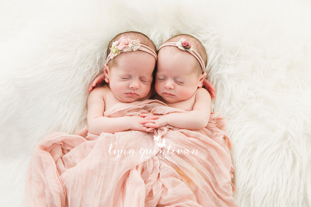 Massachusetts Newborn Twin Photographer