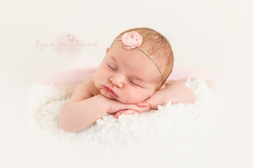Massachusetts Newborn Baby Portraits